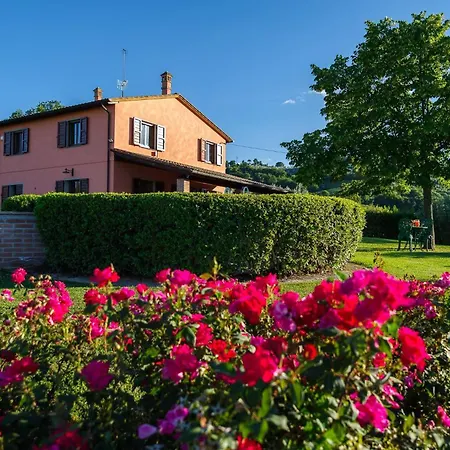 Scappo In Umbria, Mevania *